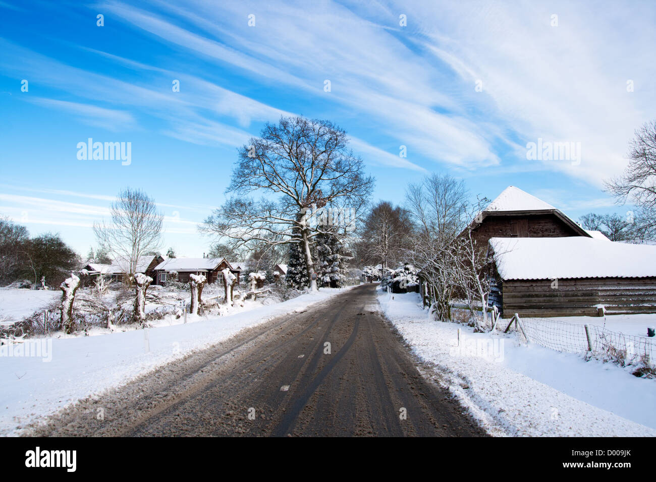 Strada di inverno Foto Stock