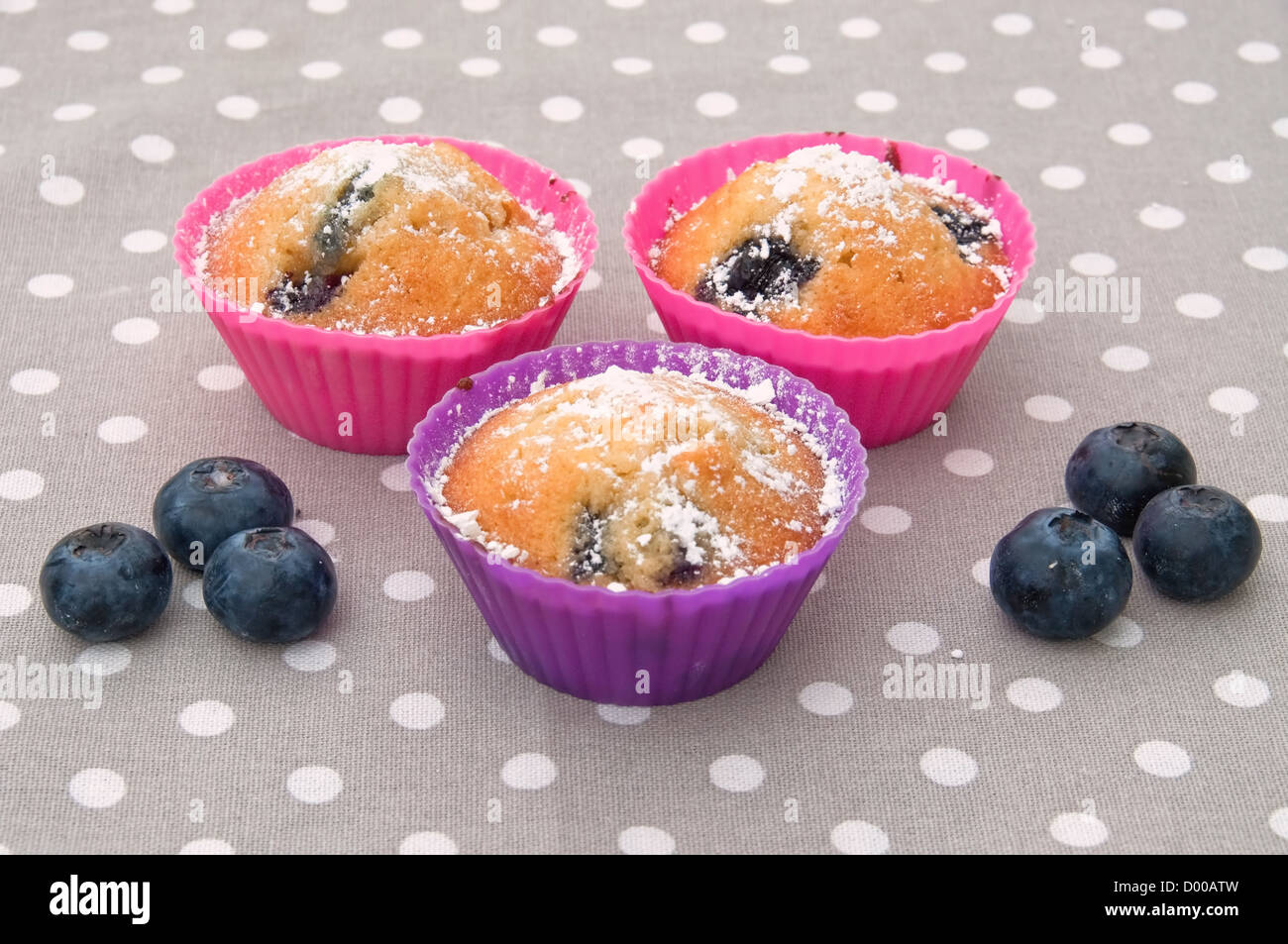 Tre muffin ai mirtilli in rosa e viola per forme Foto Stock