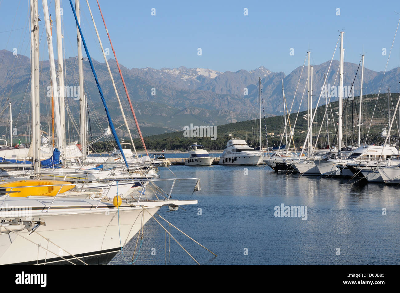 Barche a vela e motore di incrociatori ormeggiata nel porto di Calvi, sotto cime coperte di neve del 2000m plus Monte Padro ridge, Corsica Foto Stock