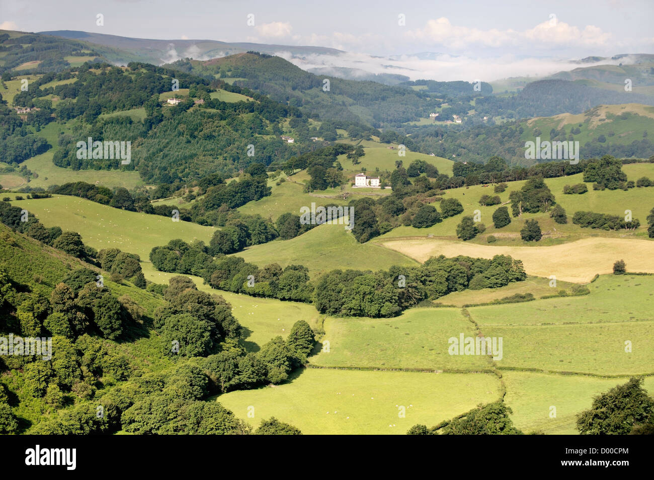 A ovest da Trevor rocce, Llangollen, oltre la Dee valle a Dinbren Hall. Denbighshire, Wales, Regno Unito. Estate nebbia di mattina Foto Stock