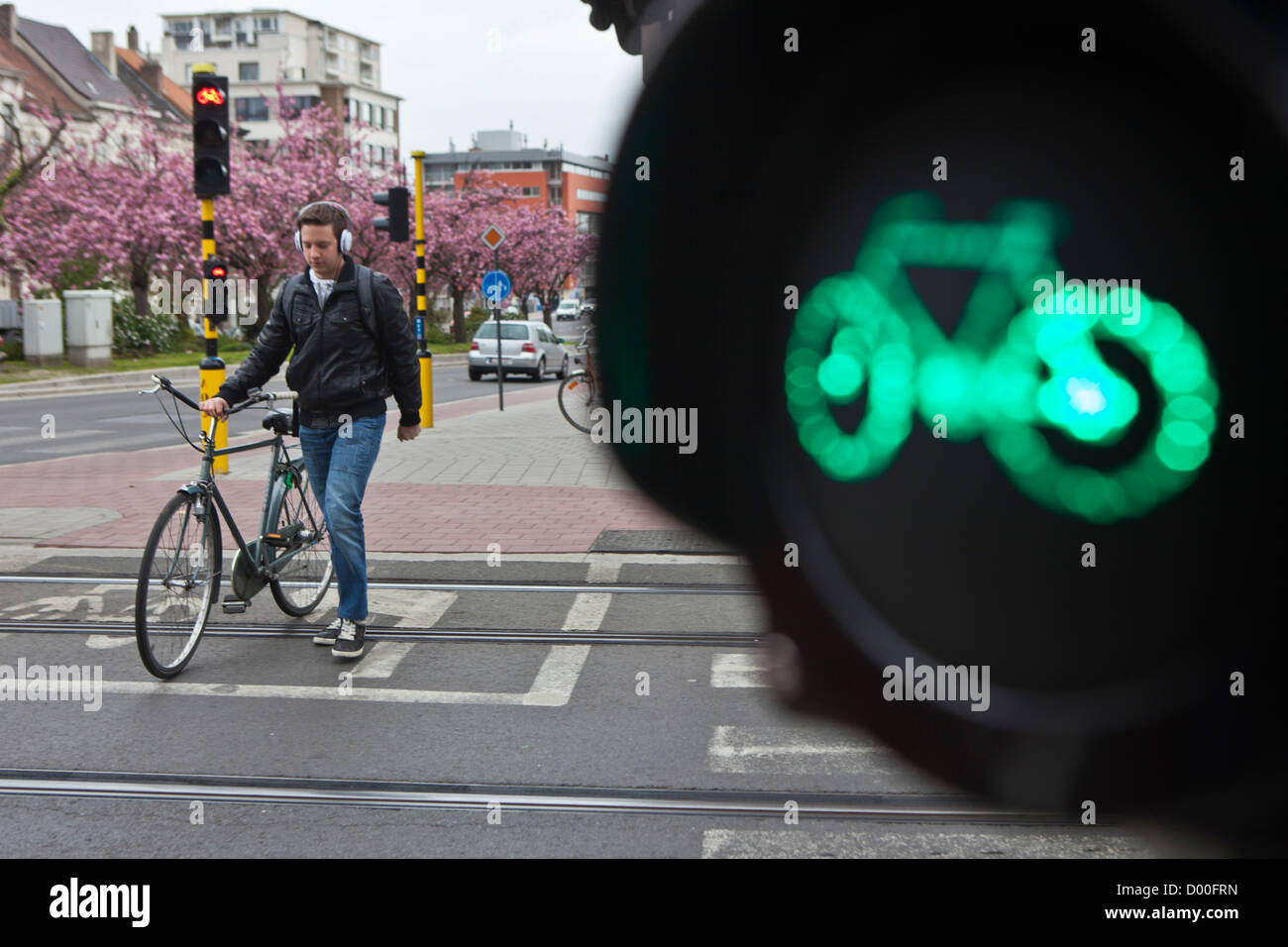 Un semaforo per ciclisti, consente di indirizzare il traffico su un percorso ciclabile. Ghent, Belgio. Foto Stock