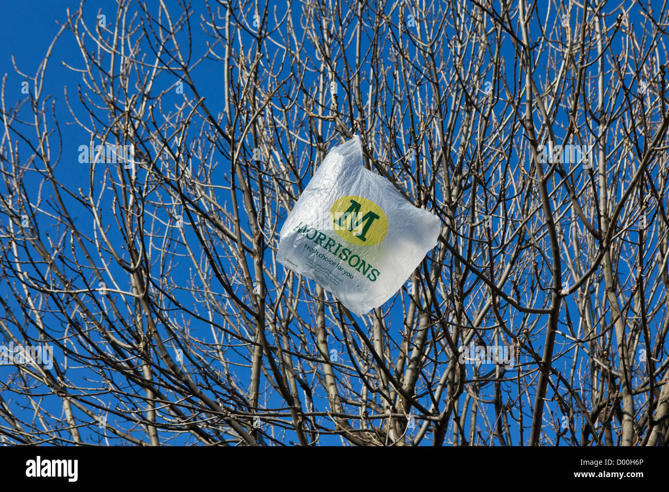 Morrisons un sacchetto in plastica catturati nei rami di un albero. Regno Unito. Morrison è uno del Regno Unito del leader dei supermercati. Foto Stock