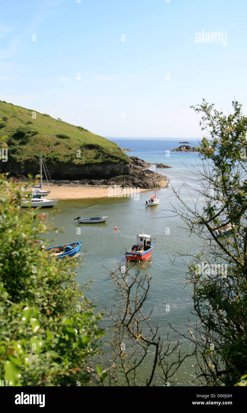 Barche nel porto dal Wales coast Path Solva Pembrokeshire Wales UK Foto Stock