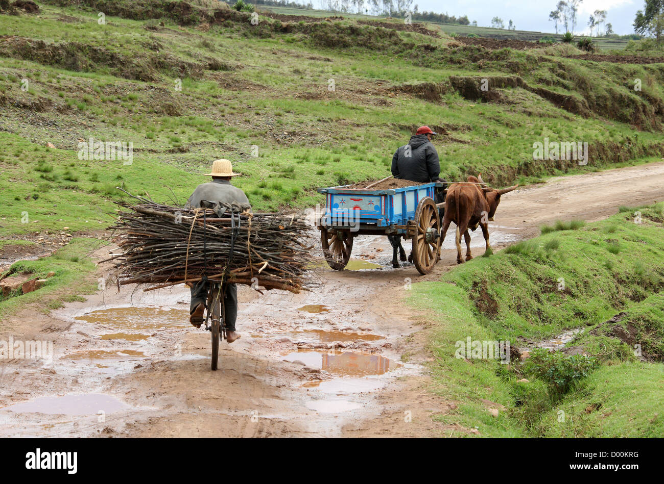 Uomo malgascio e Ox Cart e Uomo con legna da ardere su una bicicletta, agricoltura di sussistenza, vicino al lago di Tritriva, Madagascar, Africa. Foto Stock