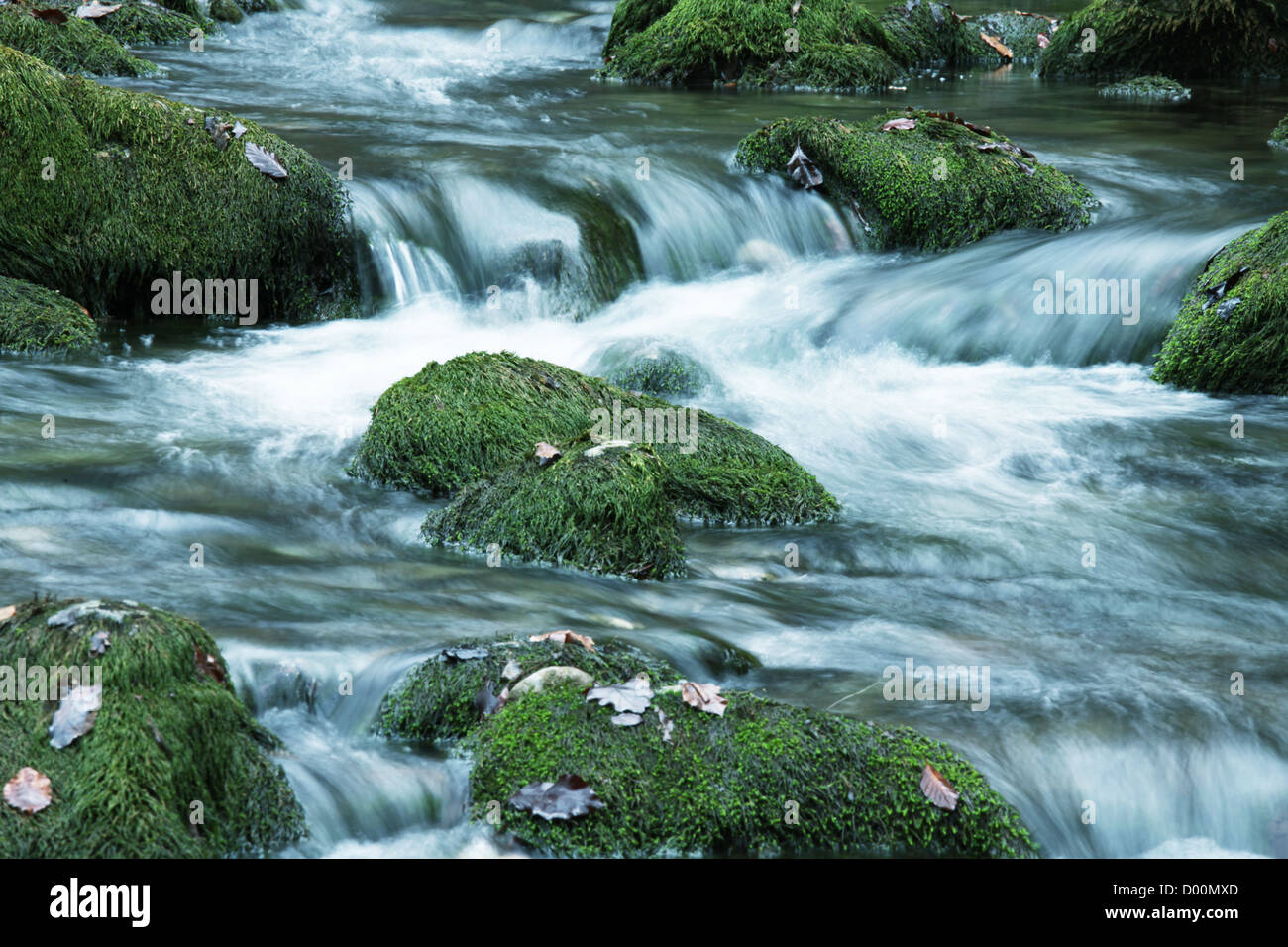 Cataratta Foto Stock