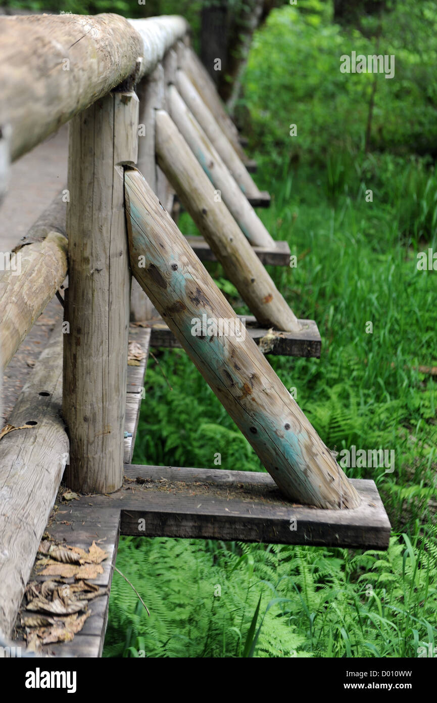 Lato di un piede in legno ponte in una foresta Foto Stock