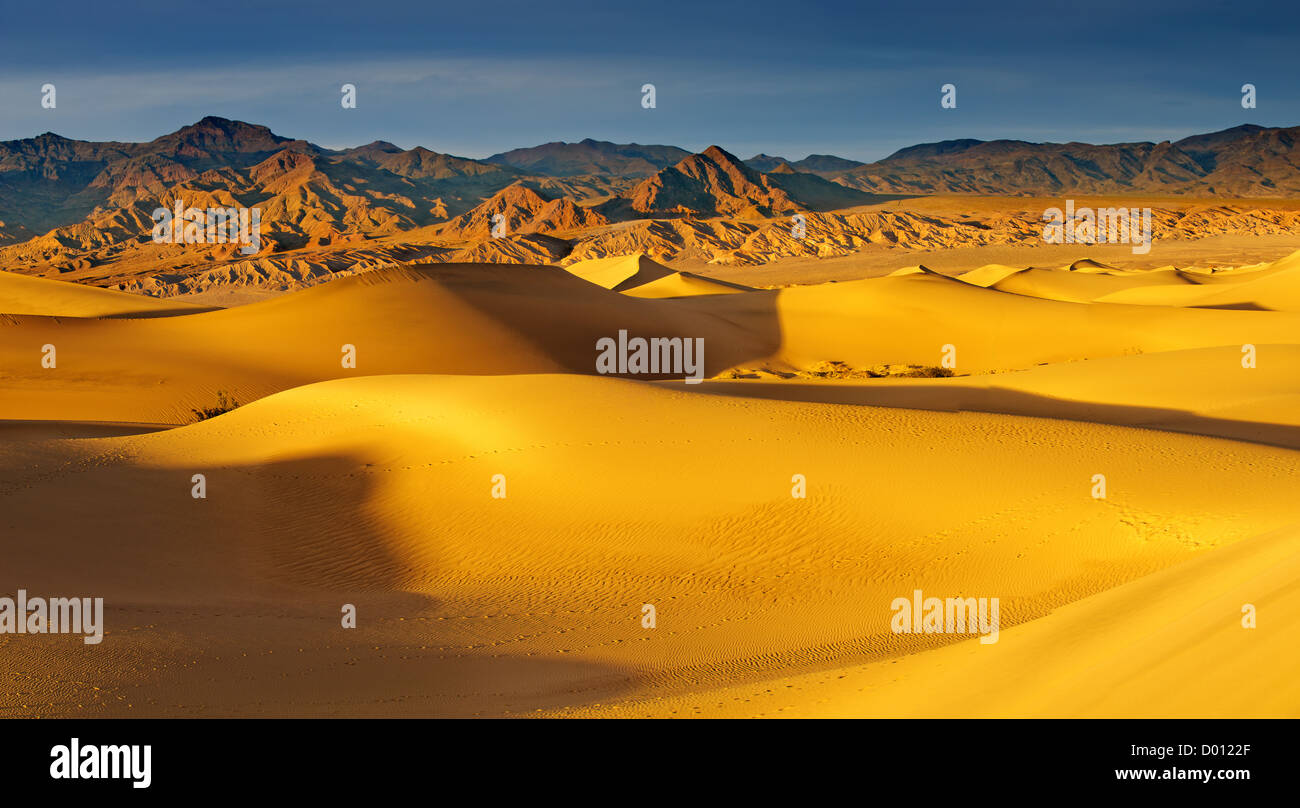 Alba di Mesquite dune nella Valle della Morte Foto Stock