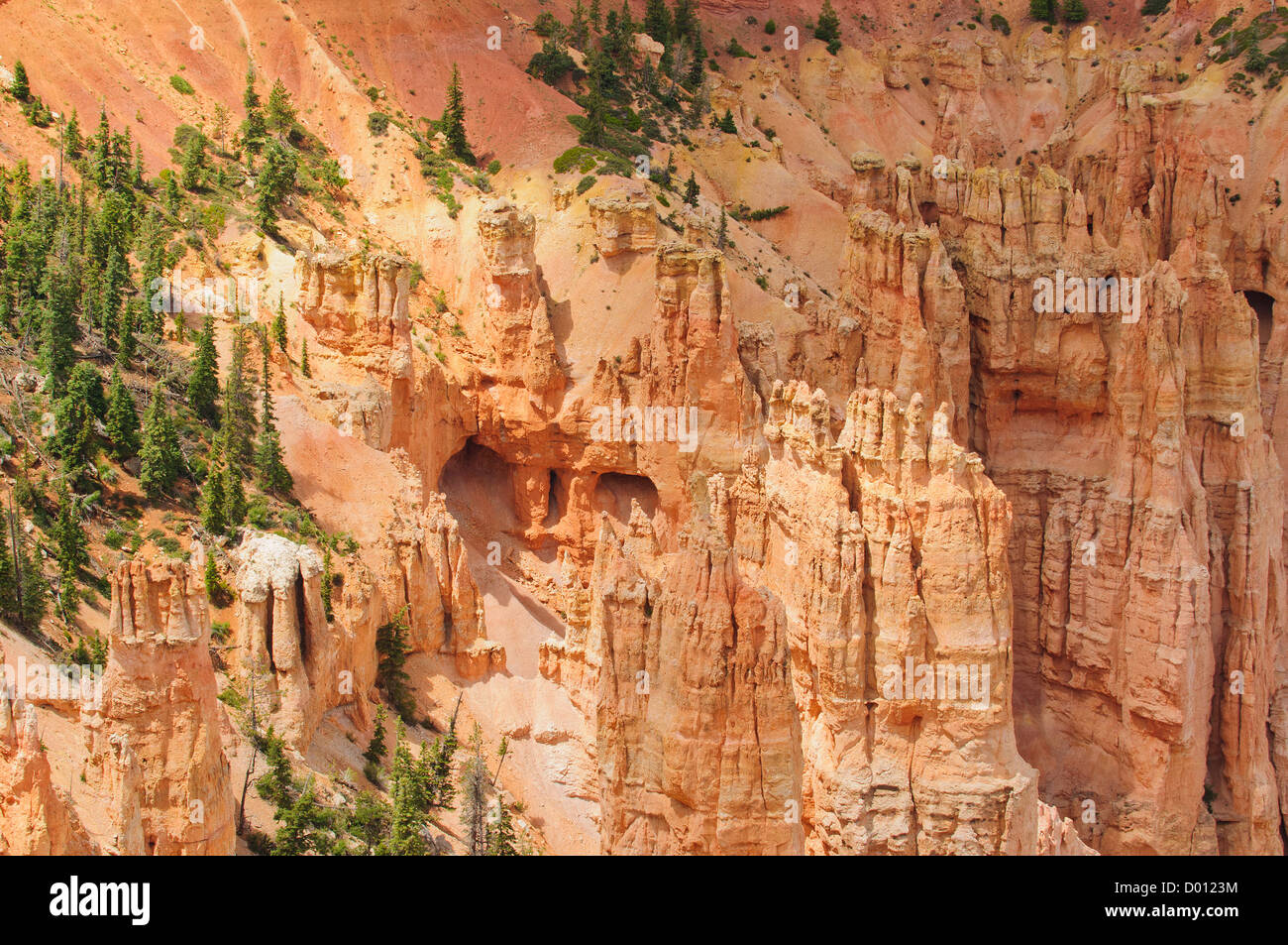Grotte e Hoodoo il Bryce Canyon National Park nello Utah desert Foto Stock