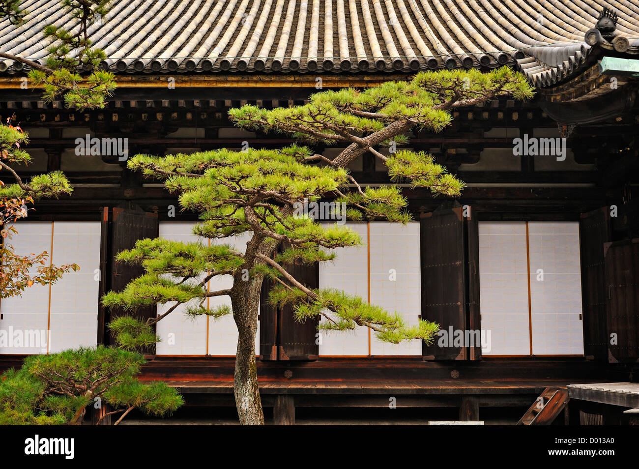 Parte della sala principale al santuario Sanjusangendo decorativa con un albero di pino, Kyoto, Giappone Foto Stock