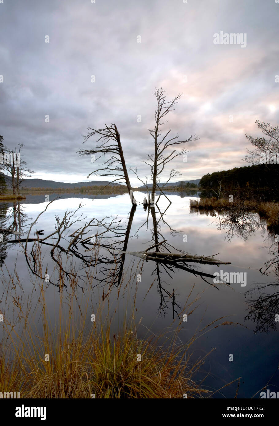 Loch Mallachie riflessione d'acqua. Foto Stock