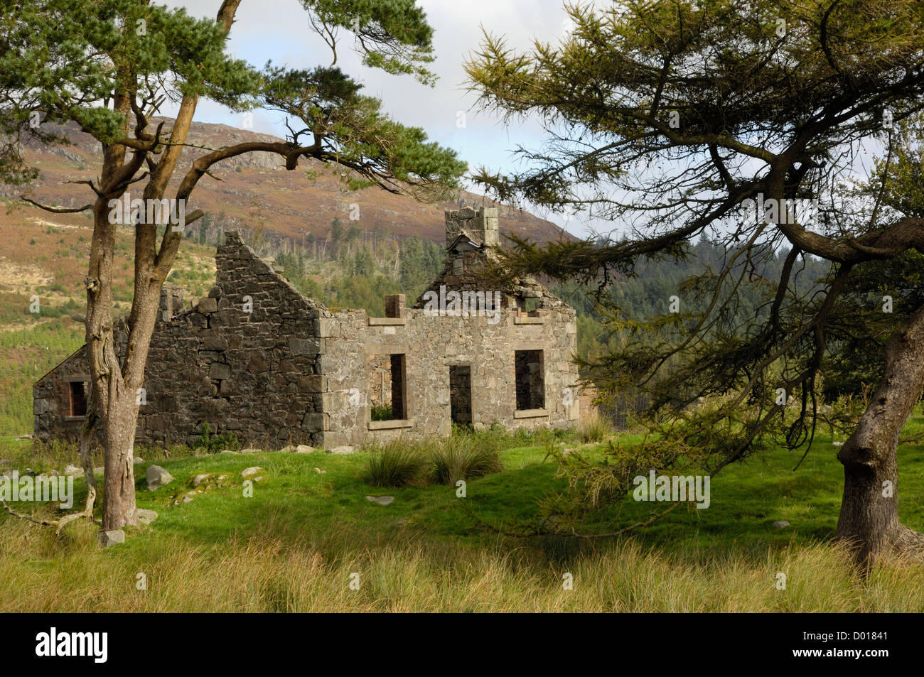 Derelitti Forest Hill agriturismo, vicino Bengairn, Dumfries & Galloway, Scozia Foto Stock