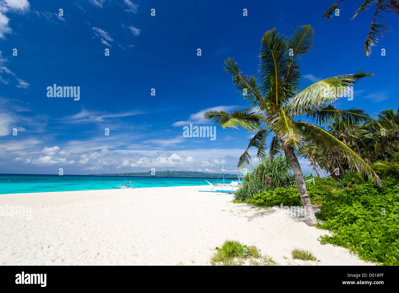 Scena tropicale, Filippine, Puka Shell beach Foto Stock