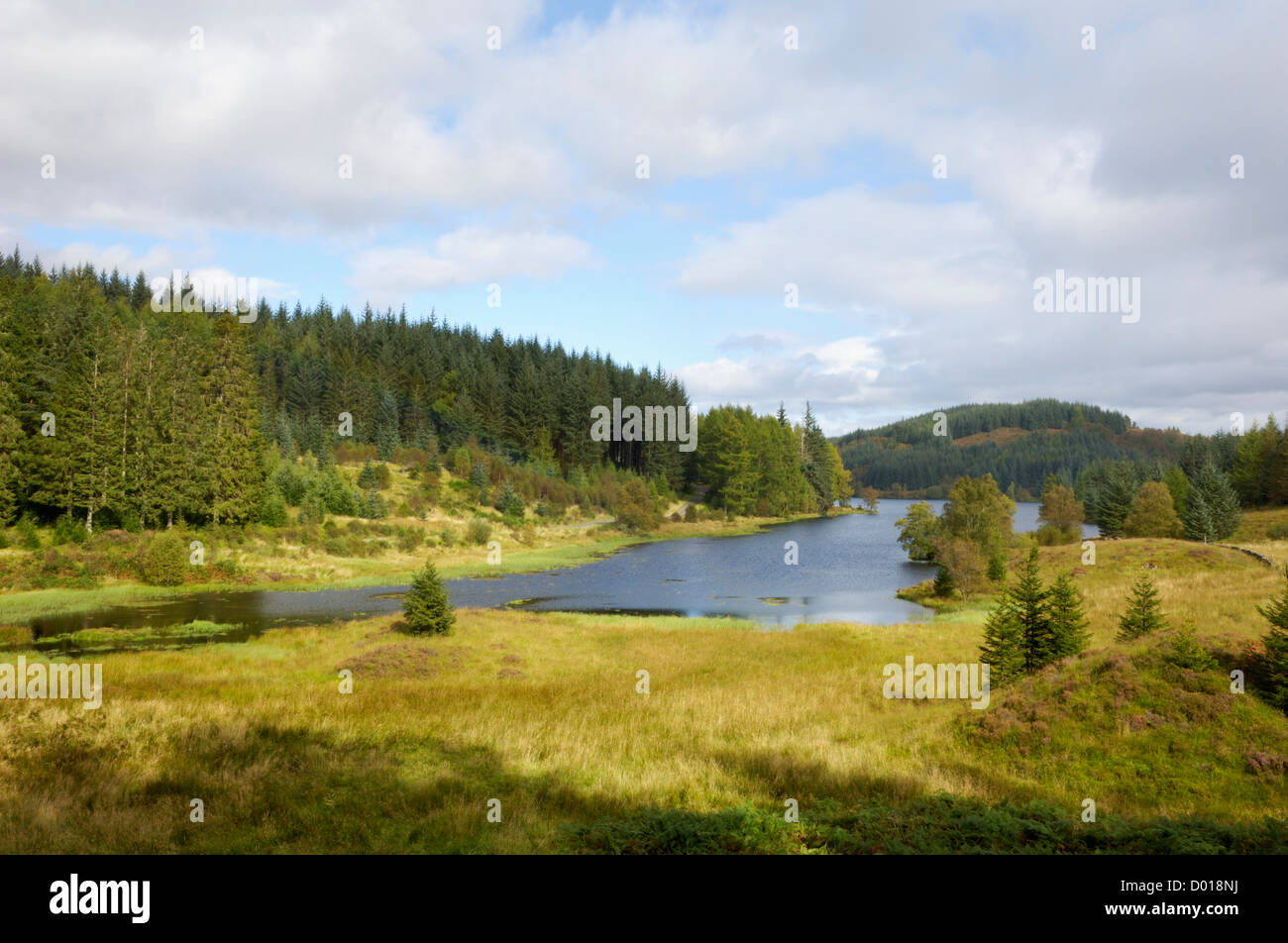 Loch Drunkie, Loch Lomond e il Trossachs National Park, Stirling, Scozia Foto Stock