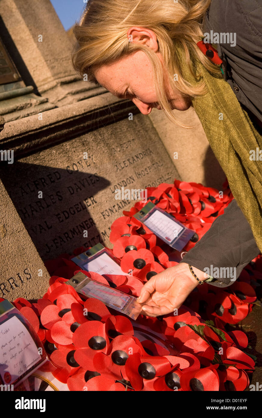 Donna che stanno curiosando ghirlande lasciato dal memorial sul ricordo domenica, High Street, Haslemere, Surrey, Regno Unito. 11.11.2012. Foto Stock