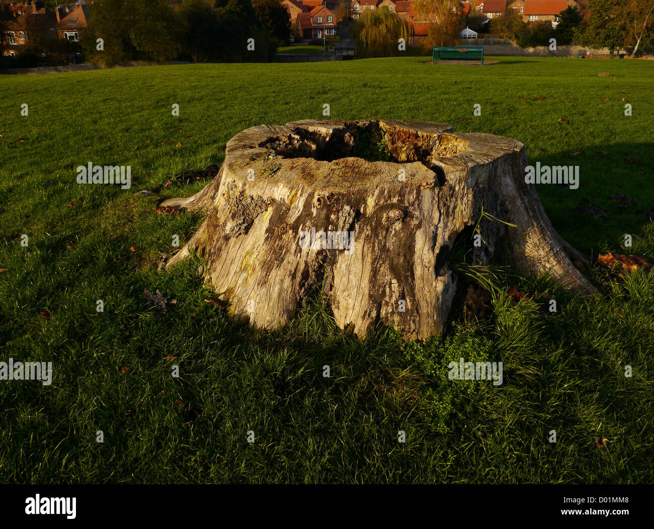 Inglese terra comune e le case con il ceppo di albero e di profonda ombra in autunno (caduta) Foto Stock
