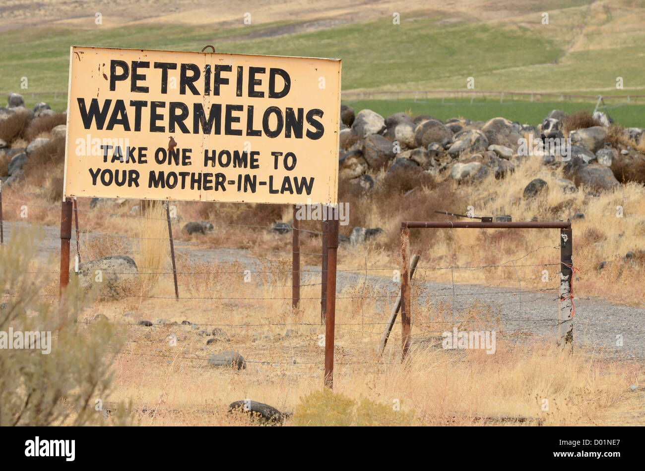 Divertente "pietrificati Cocomeri" segno inviato lungo una strada in Elmore County, Idaho. Foto Stock