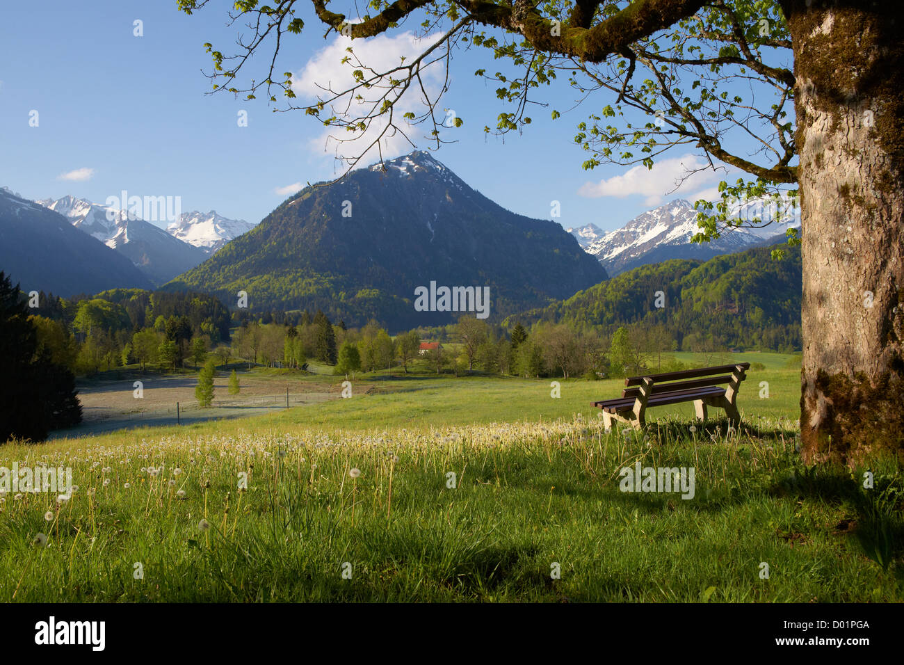 Primavera in Algovia orientale Alpi vicino a Oberstdorf Foto Stock