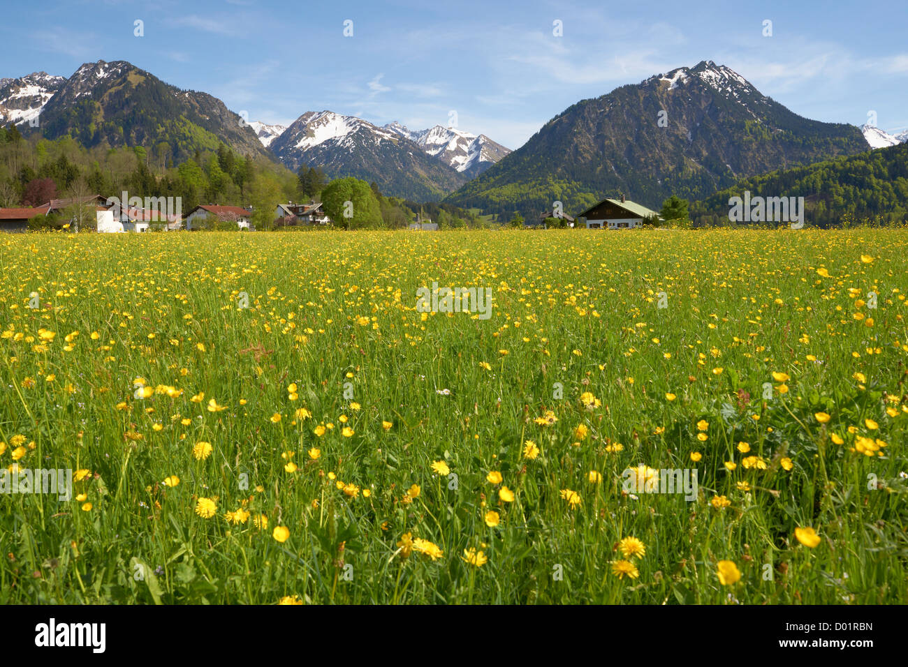 Primavera in Algovia orientale Alpi vicino a Oberstdorf Foto Stock
