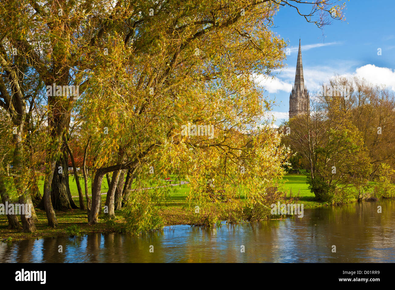 Un autunno vista del campanile della cattedrale medioevale di Salisbury, Wiltshire, Inghilterra, Regno Unito con il fiume Avon in primo piano. Foto Stock