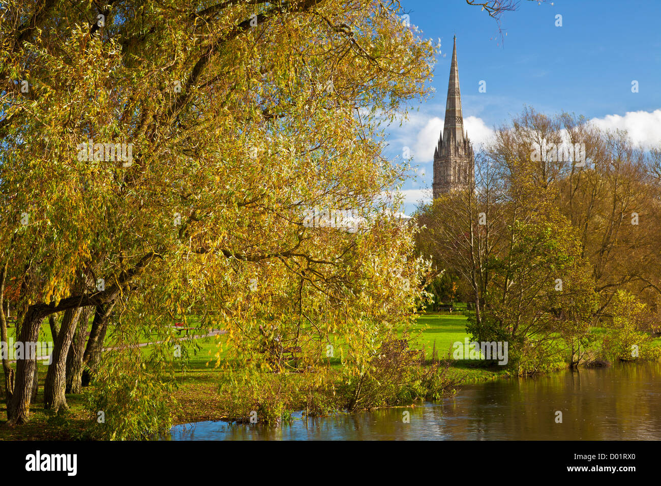 Un autunno vista del campanile della cattedrale medioevale di Salisbury, Wiltshire, Inghilterra, Regno Unito con il fiume Avon in primo piano. Foto Stock