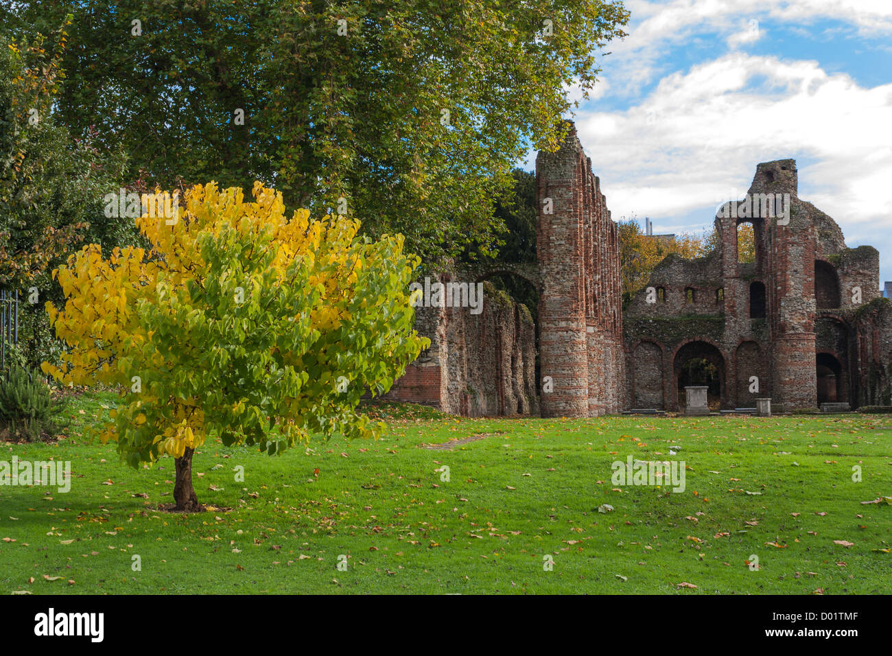 Colchester Parco in autunno Foto Stock