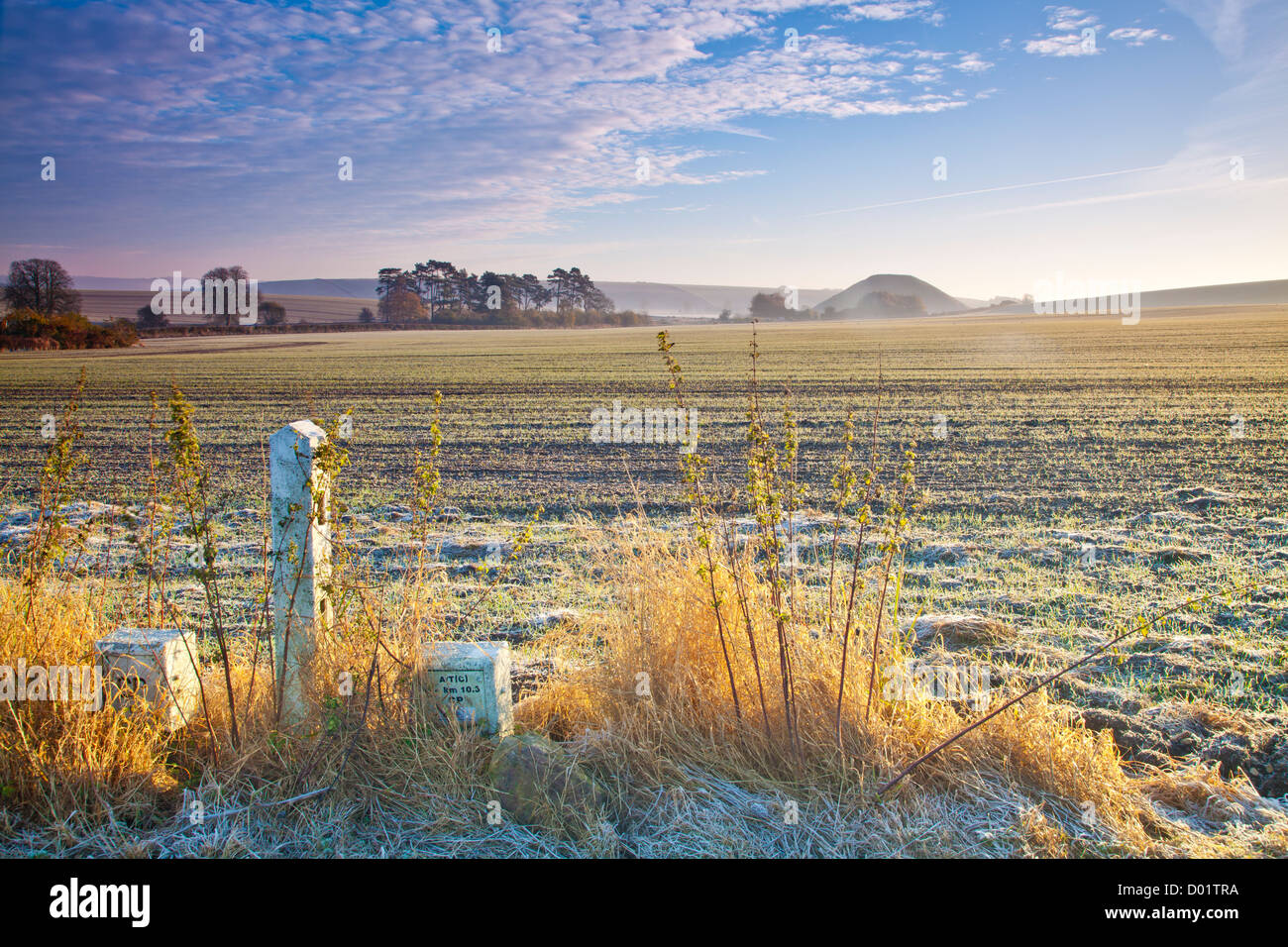 Frosty autunnale di Wiltshire paesaggio di campagna con il neolitico iconica Silbury Hill a distanza Foto Stock