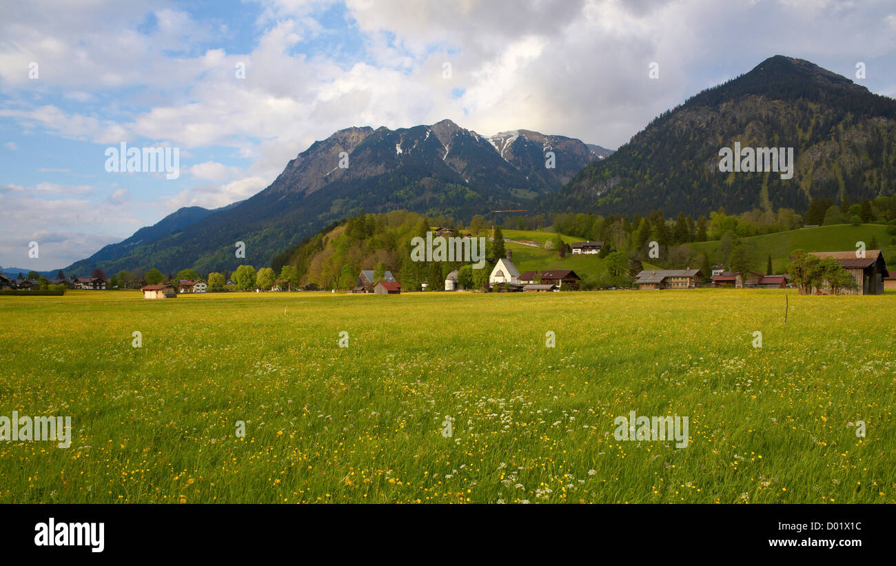 Primavera in Algovia orientale delle Alpi Foto Stock