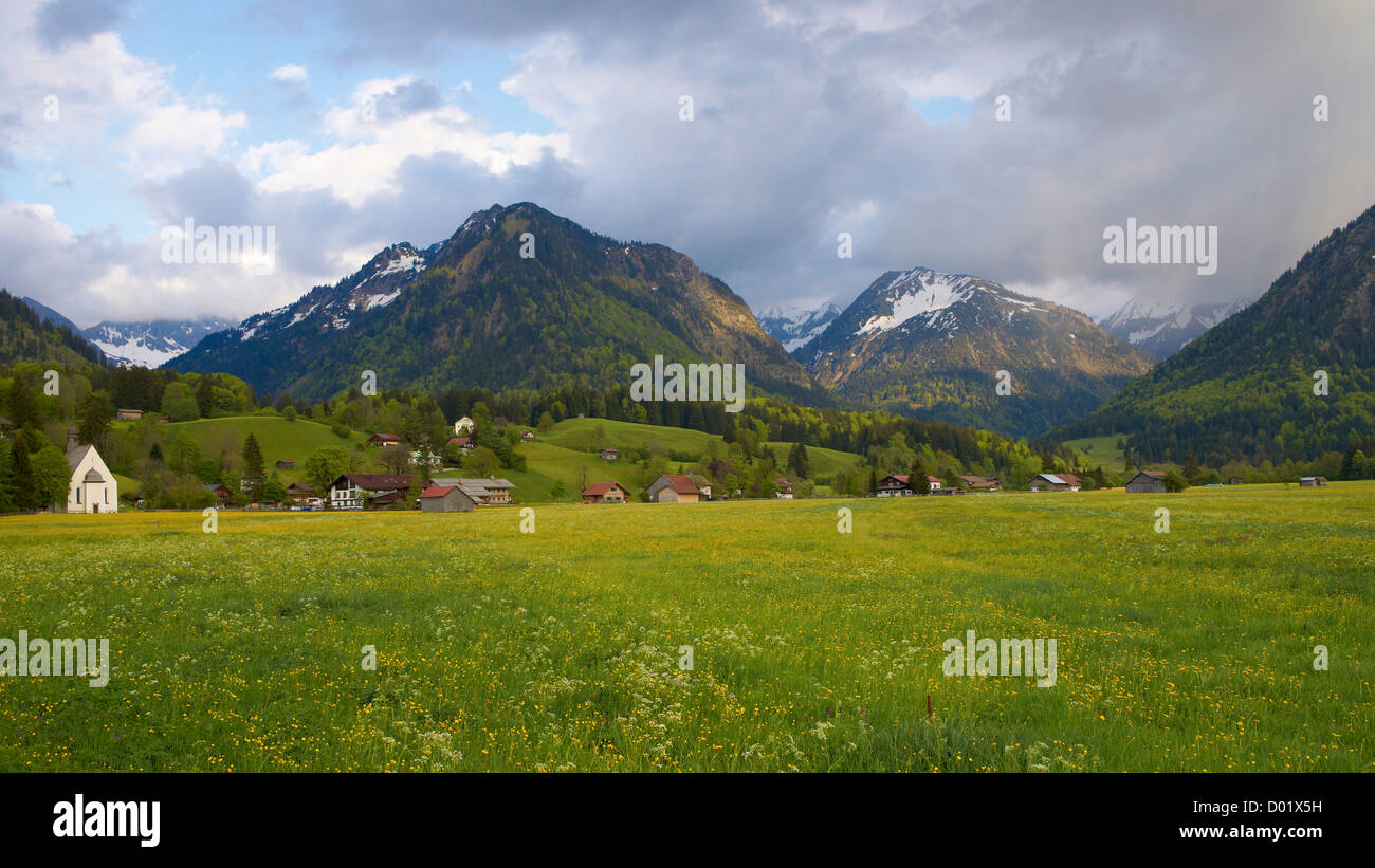 Primavera in Algovia orientale delle Alpi Foto Stock