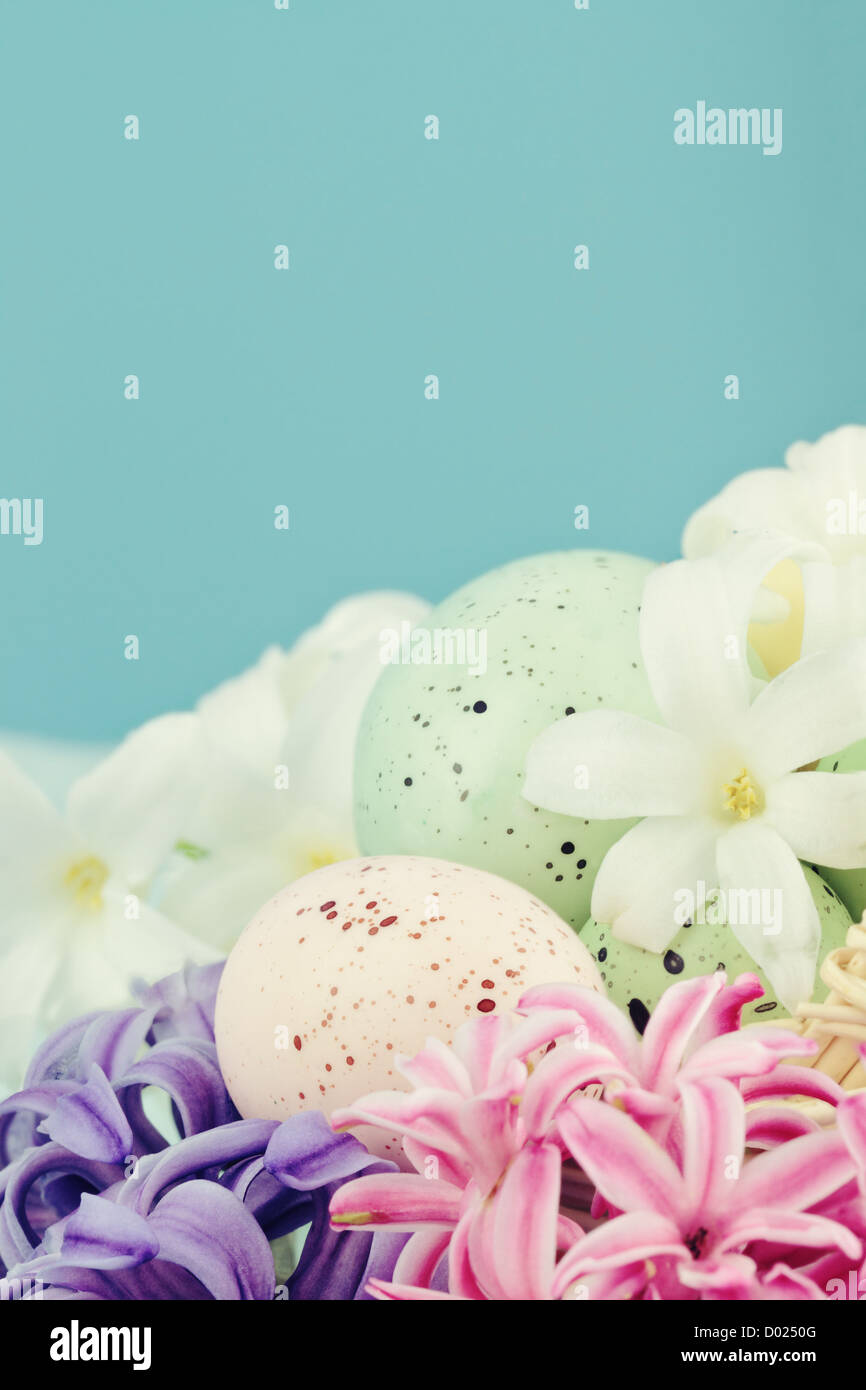 Le uova di pasqua che giace nel letto di fiori di primavera contro sfondo blu con camera per copyspace. Messa a fuoco selettiva, extreme shallow DOF Foto Stock