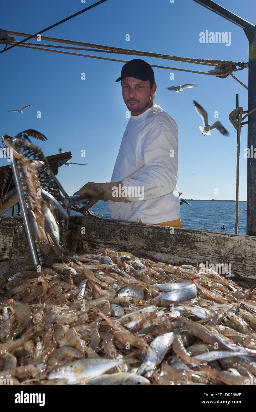 Gamberetti Trawler Foto Stock