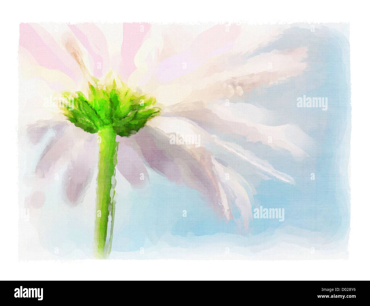 Acquerello digitale di daisy rosa contro un Cielo di estate blu Foto Stock
