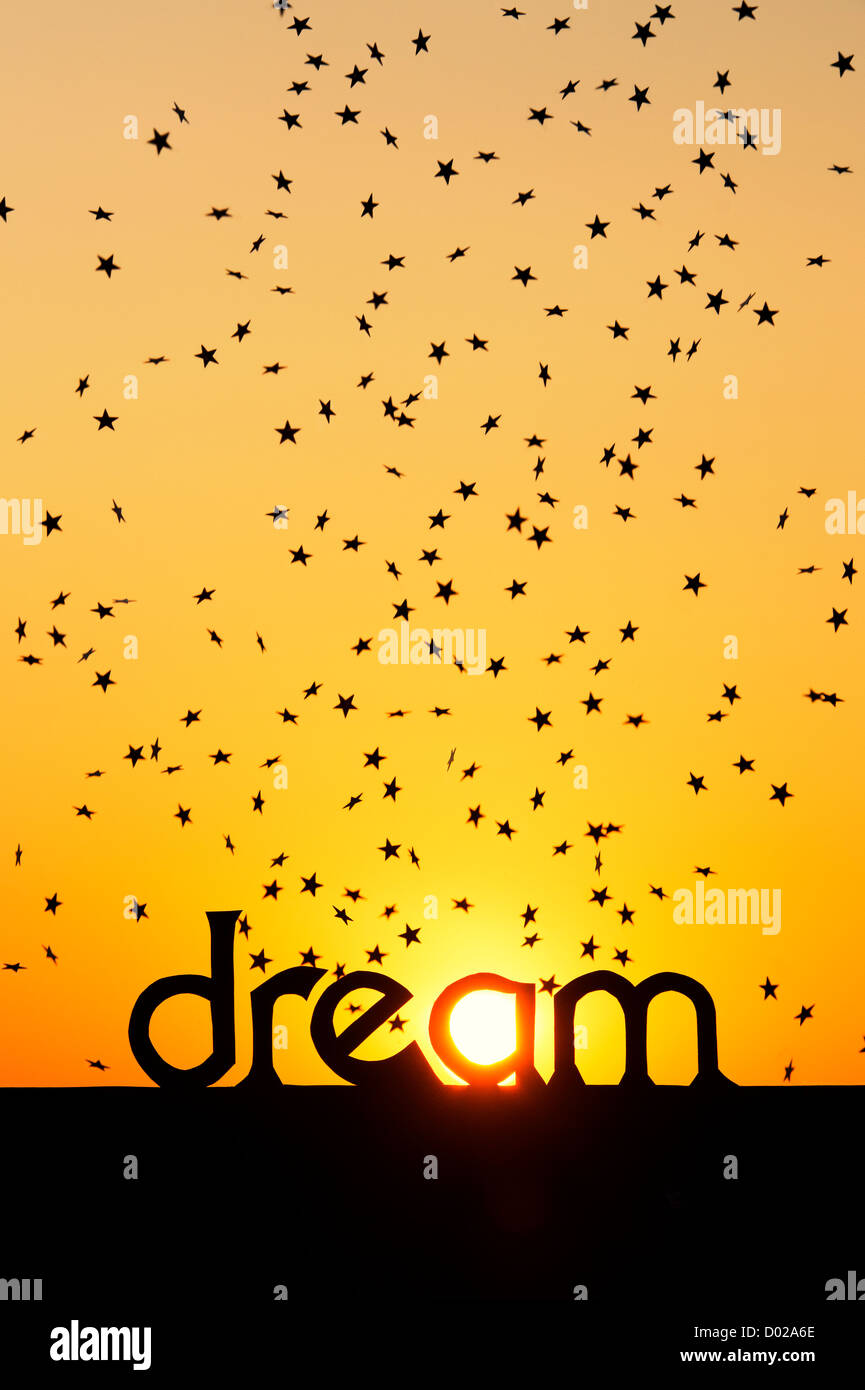 Silhouette parola da sogno e stelle cadenti al tramonto con Sun in un Foto Stock