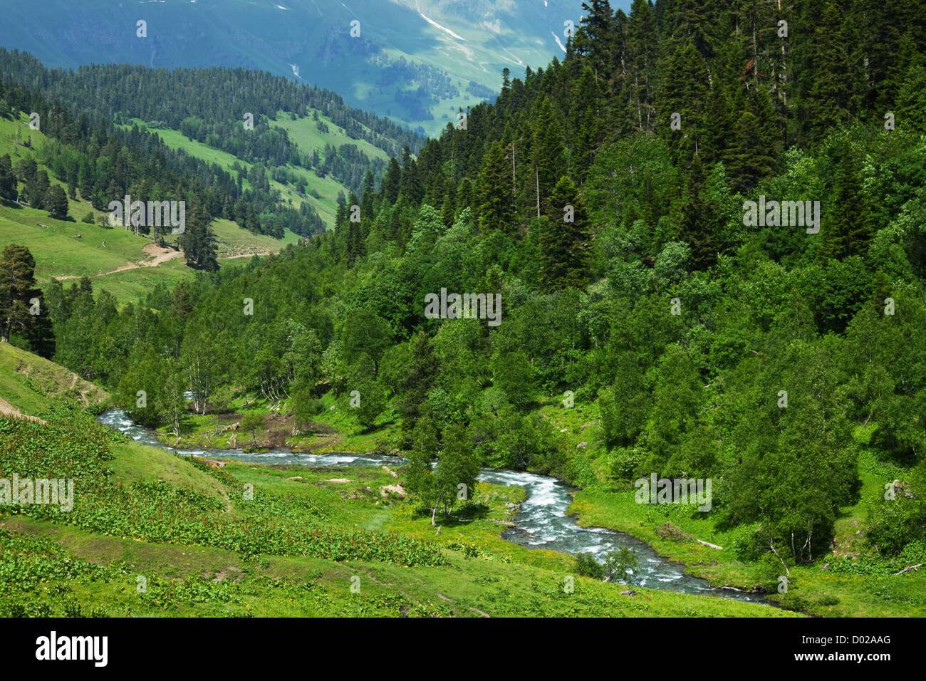 In estate le montagne del Caucaso Foto Stock