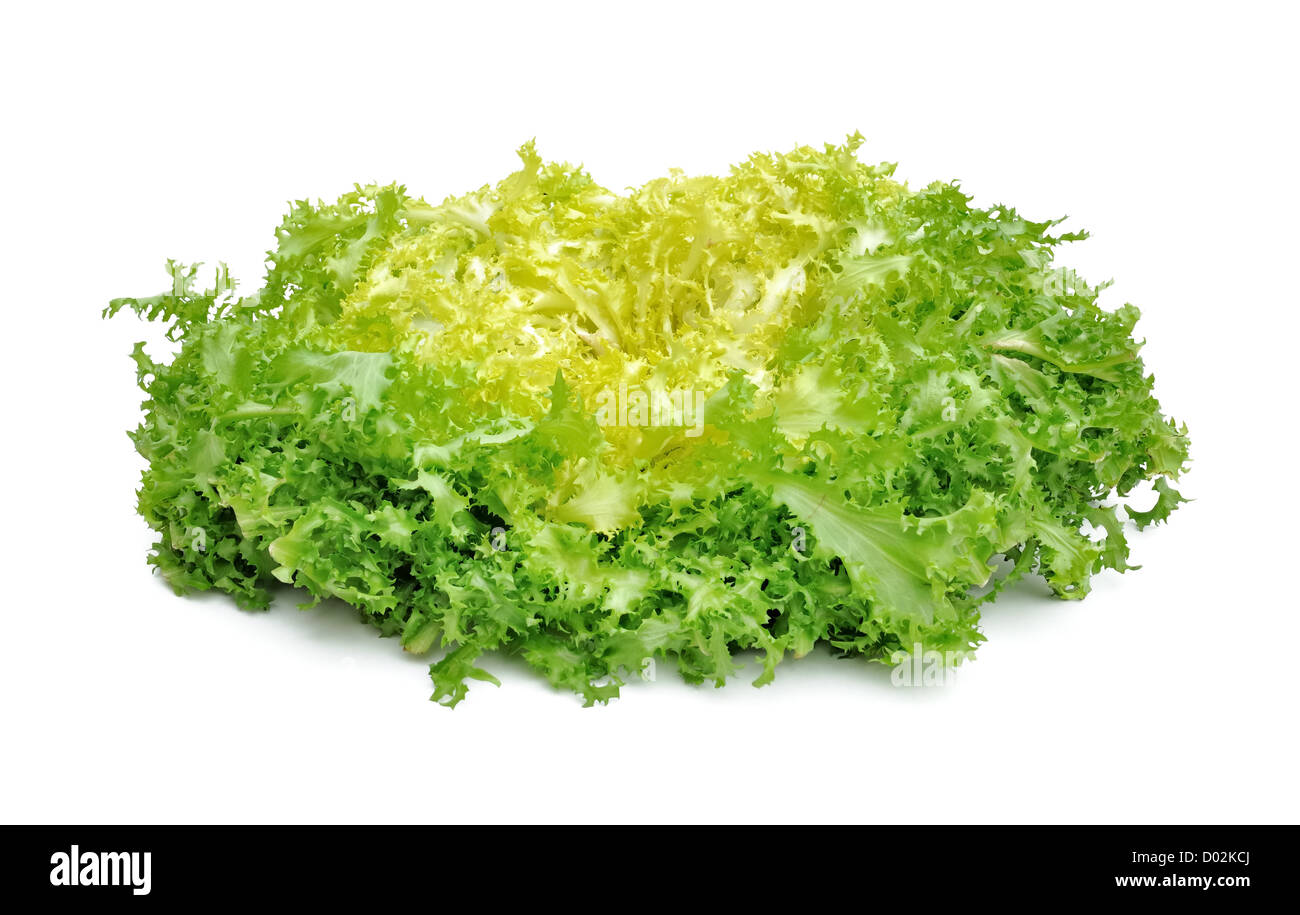Fresca insalata verde cicoria isolati su sfondo bianco Foto Stock
