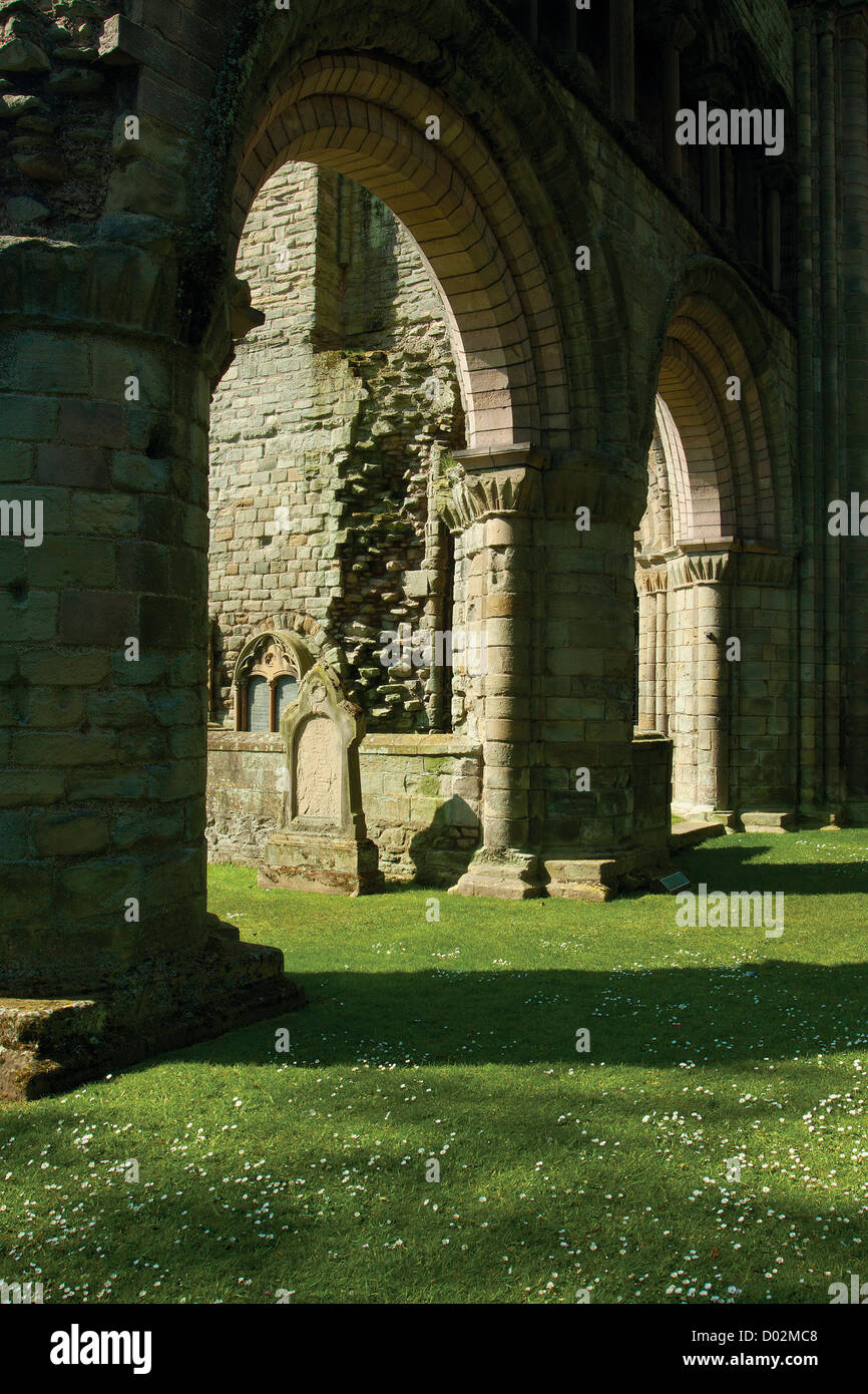 Kelso Abbey arcate a Kelso, Scottish Borders Foto Stock