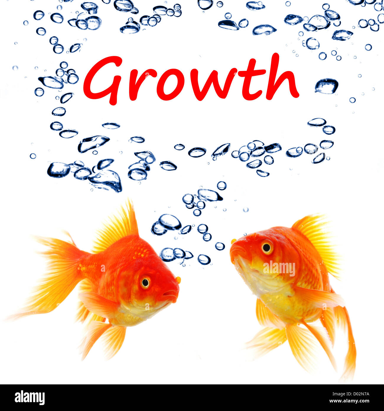 La crescita aziendale o il concetto di successo con pesci rossi Foto Stock