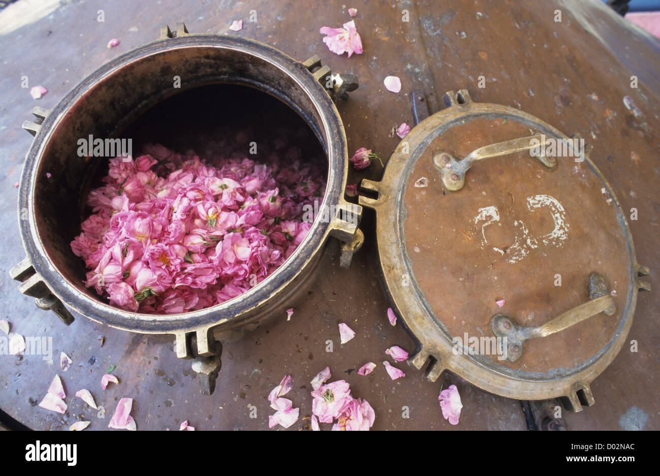 La Bulgaria Kazanlak , distilleria per trasformazione di olio di rosa e acqua di rosa damascena flower, serbatoio di rame Foto Stock