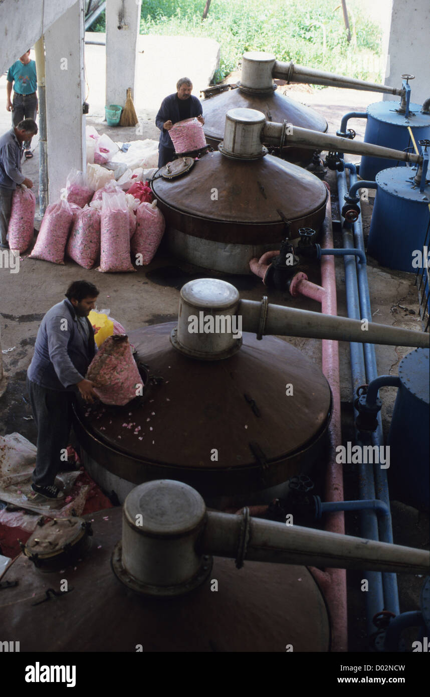 La Bulgaria Kazanlak , distilleria per trasformazione di olio di rosa e acqua di rosa damascena flower, serbatoi di rame Foto Stock