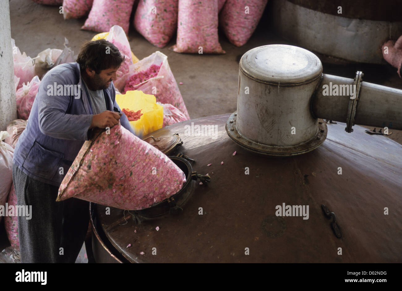 La Bulgaria Kazanlak , distilleria per trasformazione di olio di rosa e acqua di rosa damascena flower, serbatoio di rame Foto Stock