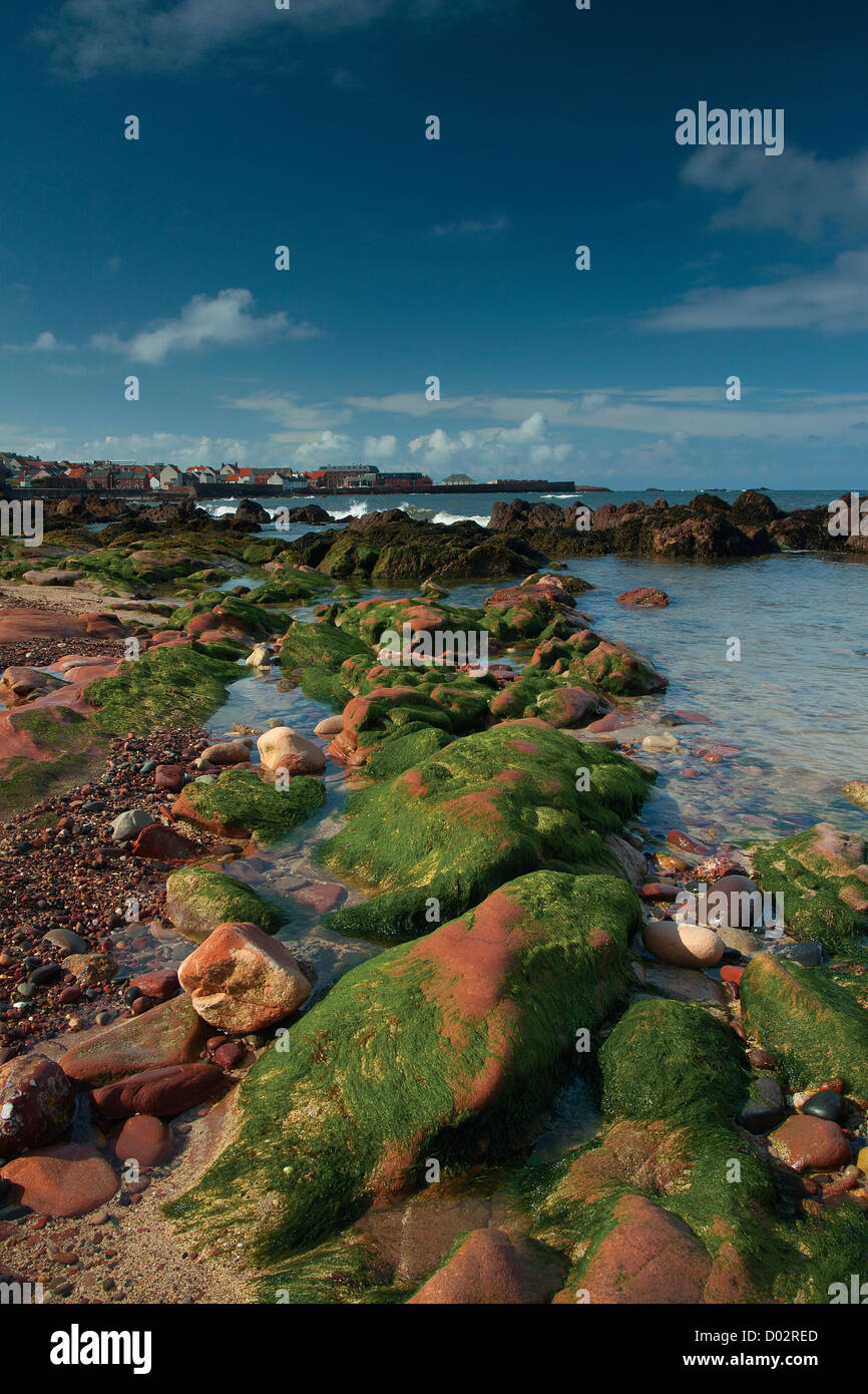 East Beach, Dunbar, East Lothian Foto Stock
