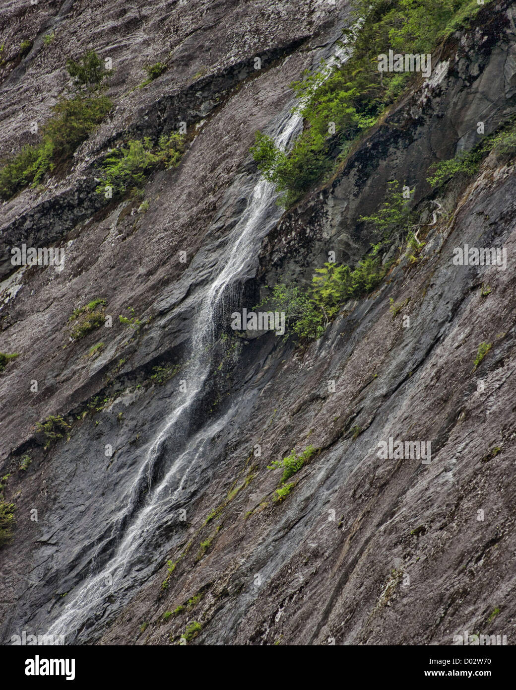 6 luglio 2012 - Gateway Ketchikan Borough, Alaska, USA - drammatico corso cascate giù le imponenti pareti di granito in Misty Fjords Rudyerd Bay. Scolpito da una massiccia azione ghiacciaio 50 a 70 milioni di anni fa, essi si ergono alte come 3.000 ft (900m) e sono contro bilanciato da evergreen foreste pluviali. Misty Fjords National Monument e area selvaggia, lungo il passaggio interno della costa sud-est di Alaska, è gestito dal governo degli STATI UNITI Forest Service e copre 2,294,343Â acri (9,246Â km) di Tongass National Forest, il più grande deserto in Alaskan foreste nazionali ed è accessibile solo da idrovolanti Foto Stock