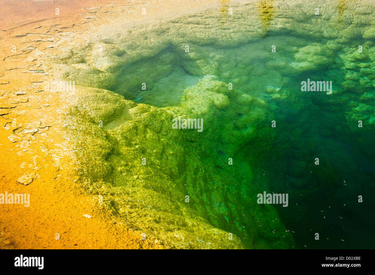 Vista in dettaglio della gloria di mattina Piscina - primavera calda in Upper Geyser Basin, il Parco nazionale di Yellowstone - Wyoming, STATI UNITI D'AMERICA Foto Stock