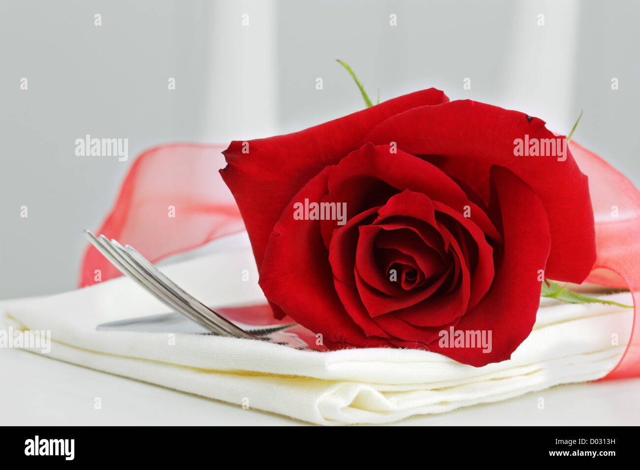 In prossimità di una bella rosa rossa con posateria. Messa a fuoco selettiva con alcune sfocature sulla porzione inferiore dell'immagine. Foto Stock