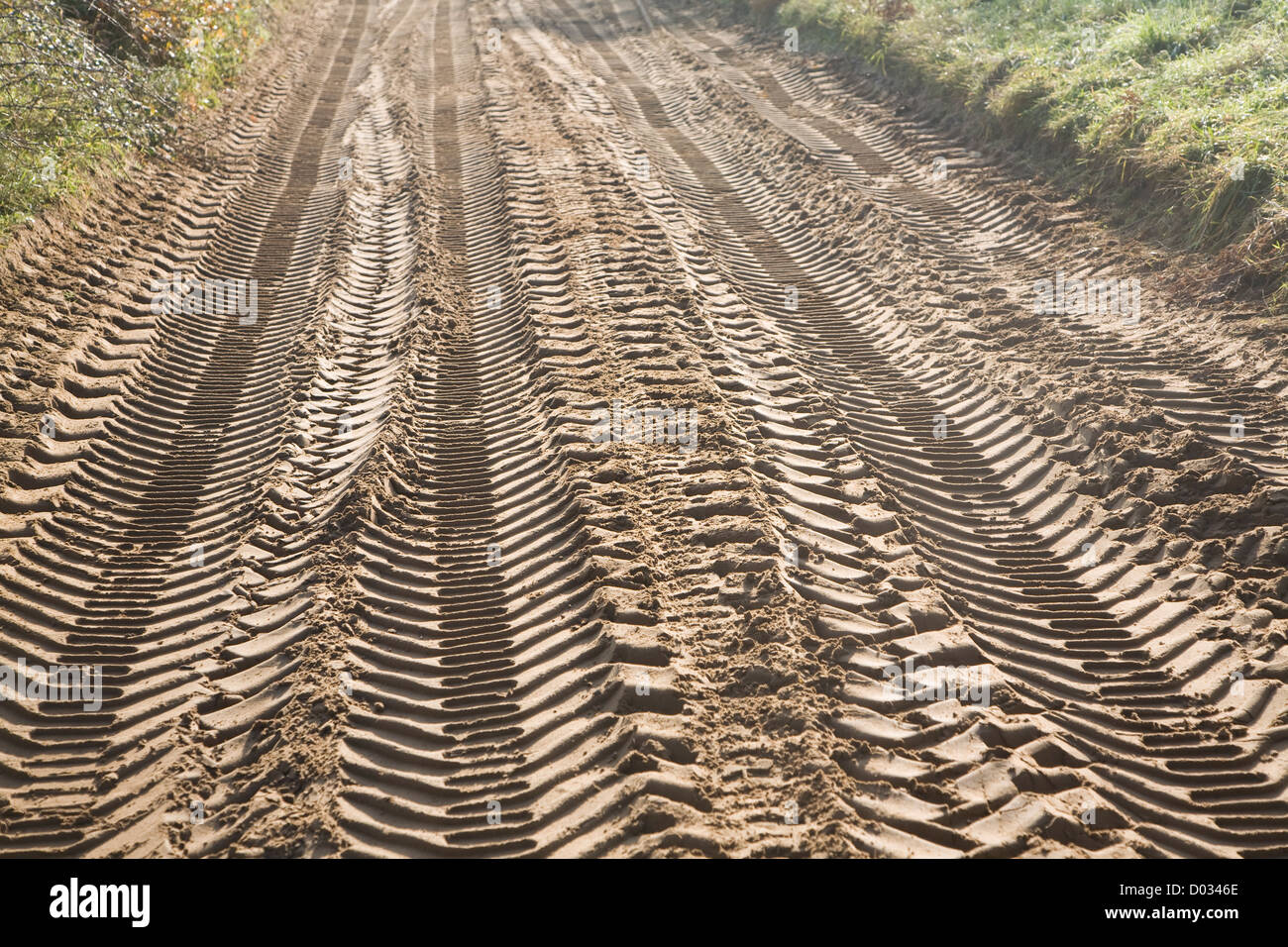 Marchio di pneumatici tacche suolo sabbioso via strada Foto Stock