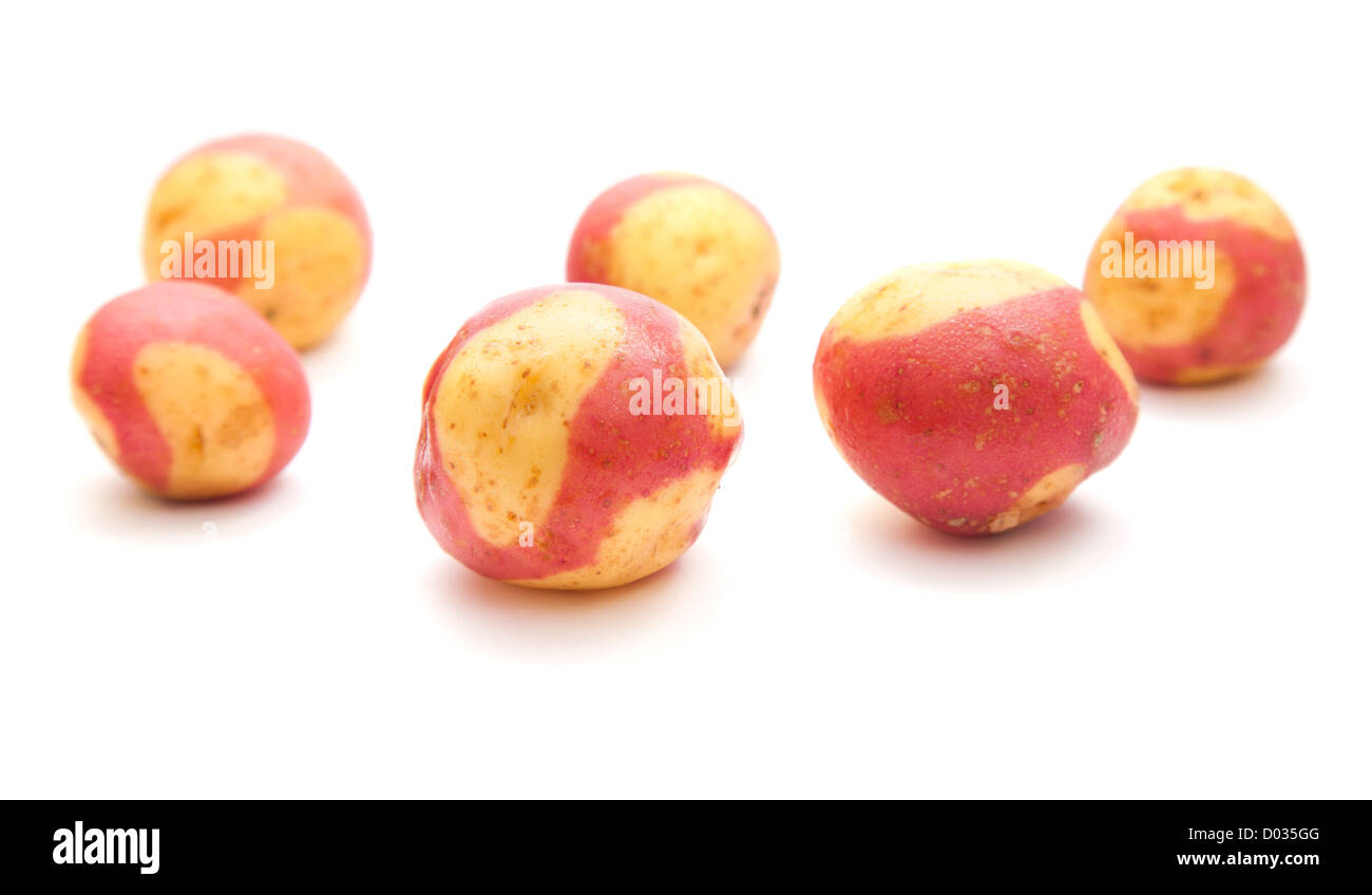 Varietà di patate delle Canarie, isolato su bianco Foto Stock