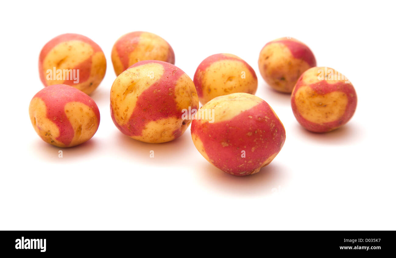 Varietà di patate delle Canarie, isolato su bianco Foto Stock