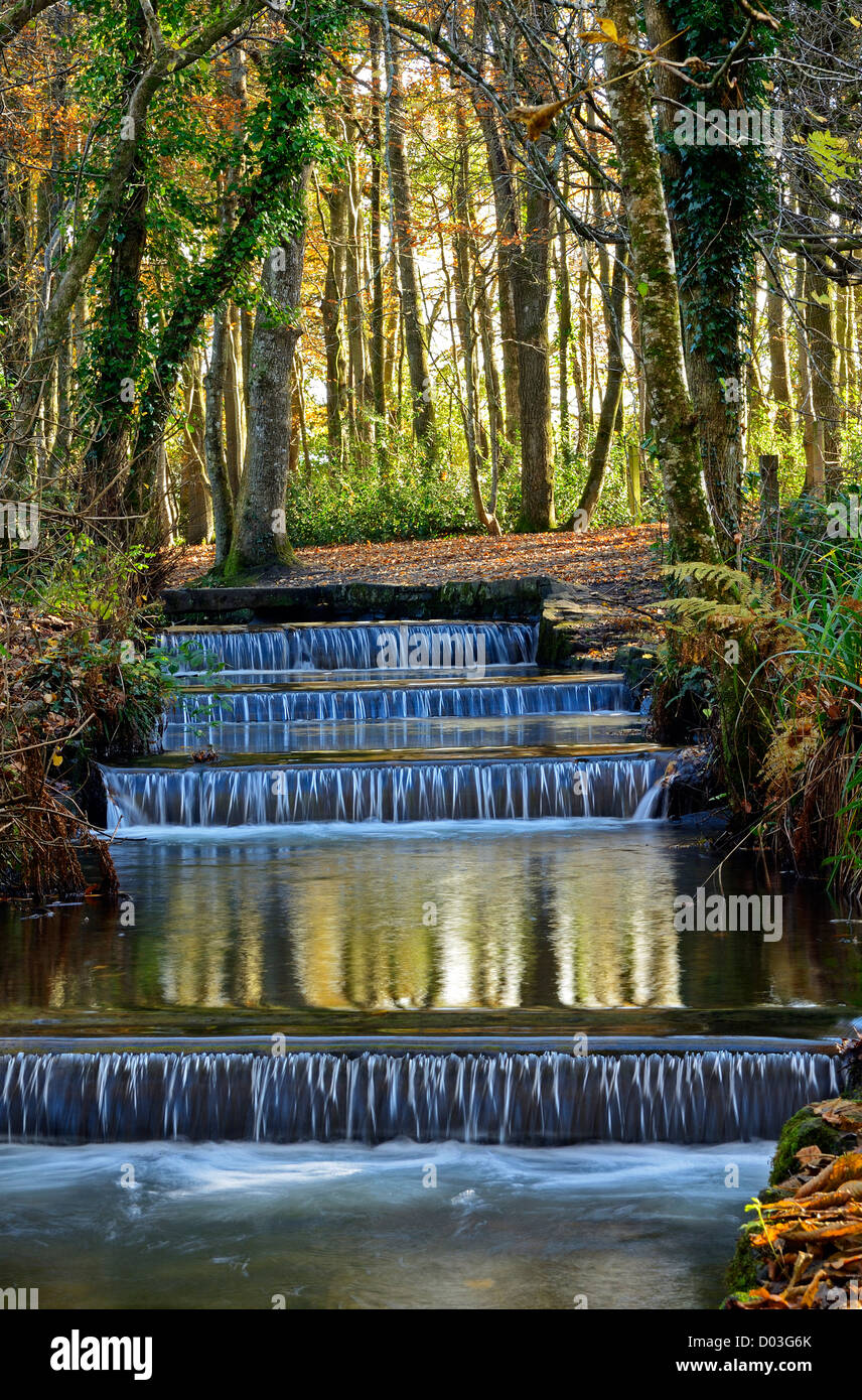 Gli sbarramenti sul fiume Rosso che corre attraverso boschi Tehidy vicino a Camborne in Cornwall, Regno Unito Foto Stock