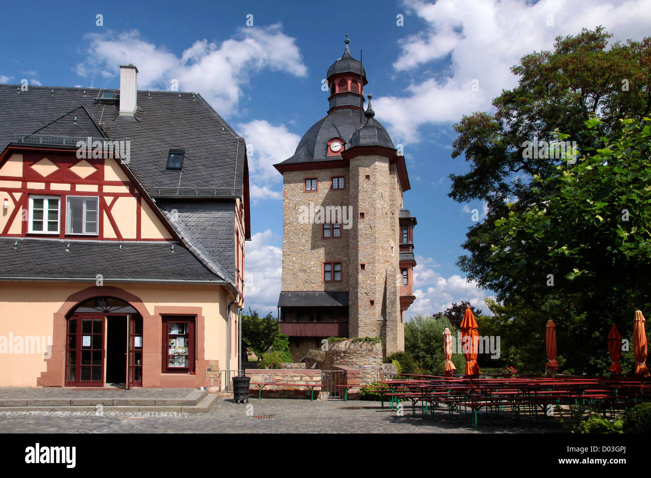 Torre residenziale del palazzo di Vollrads in Winkel, Rheingau, Hesse, Germania Foto Stock