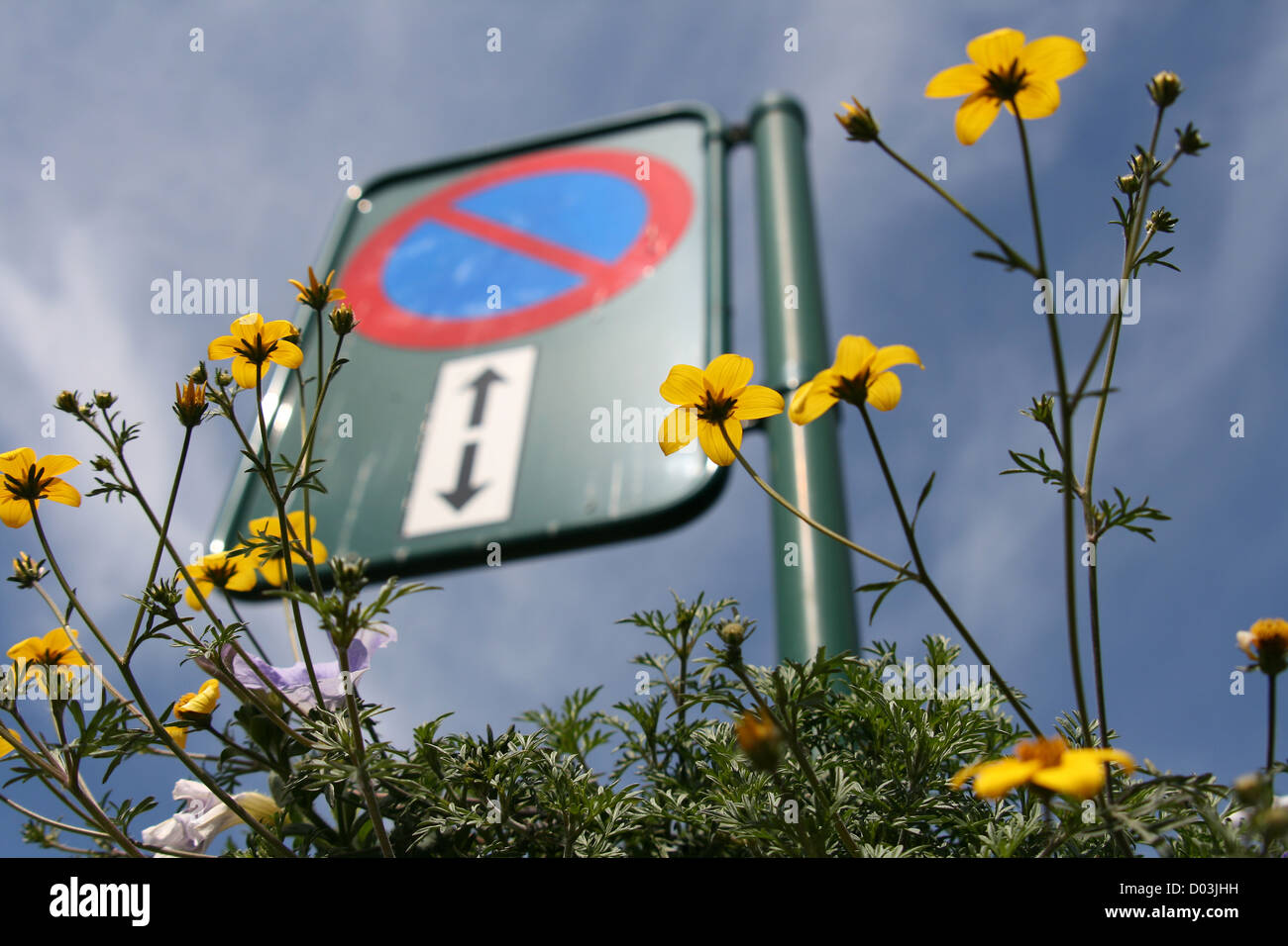 Segno e fiori. Foto Stock