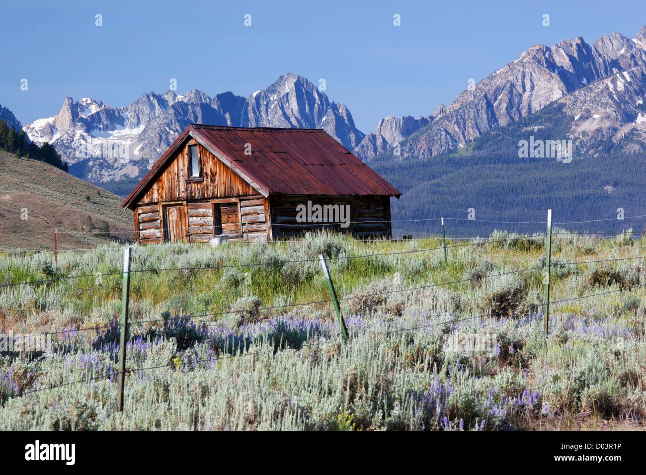 Idaho, Sawtooth National Recreation Area, vecchio fienile e la gamma a dente di sega Foto Stock